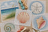 Why Use Hand Painted Needlepoint Canvases: A Beginner's Guide