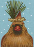 Cardinal with Pine - The Flying Needles