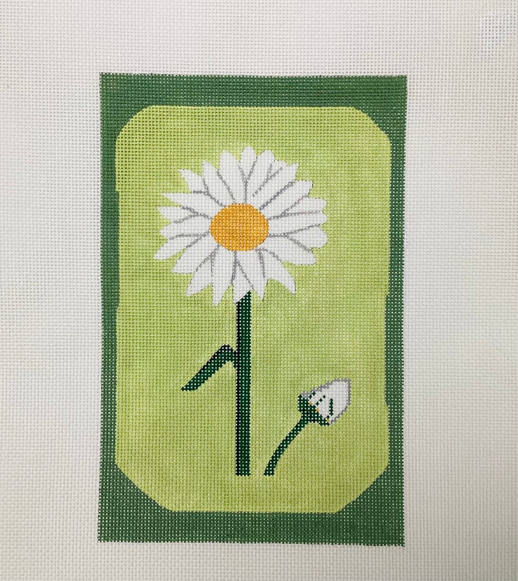 Daisies - The Flying Needles