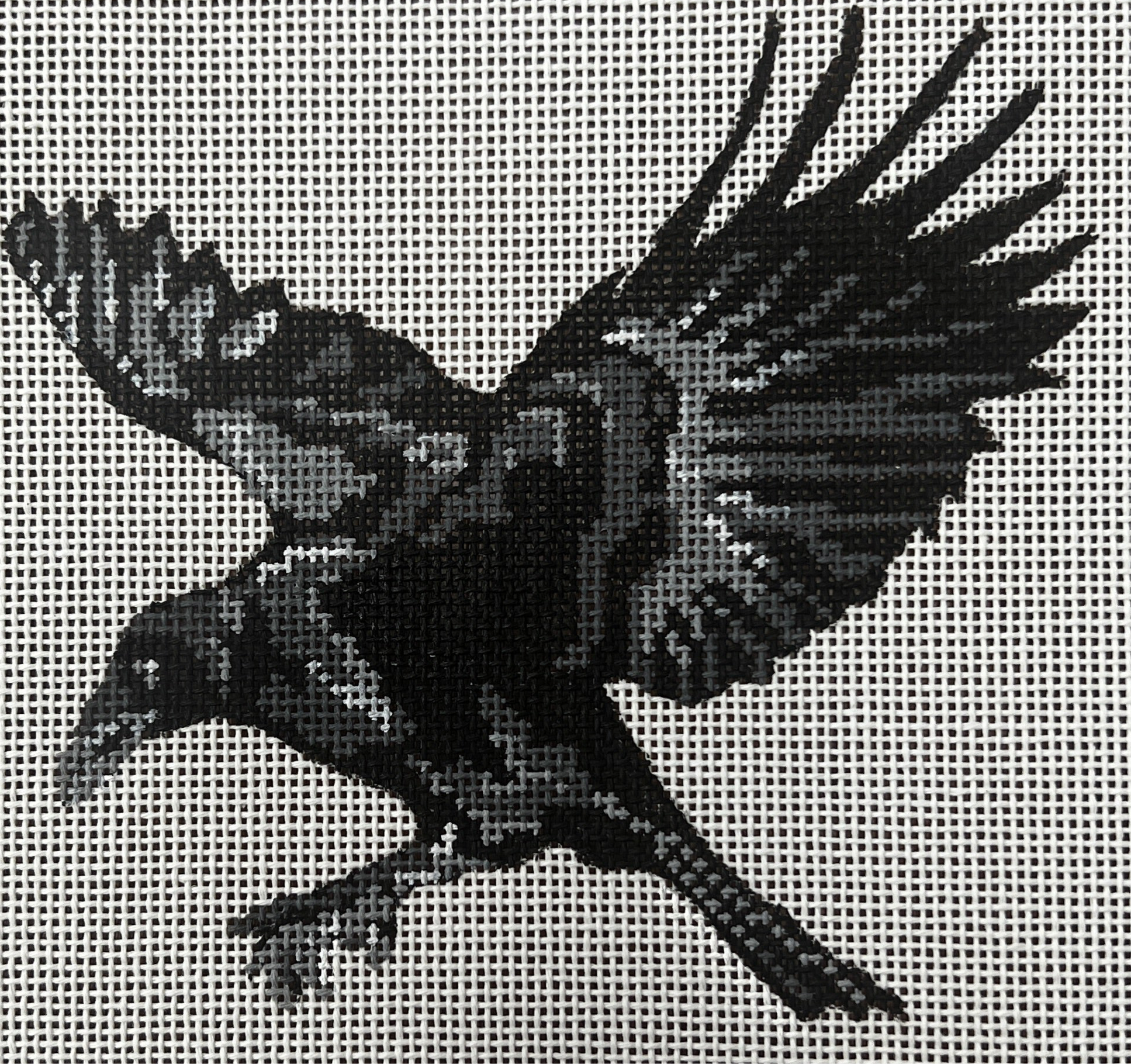 Flying Crow - The Flying Needles