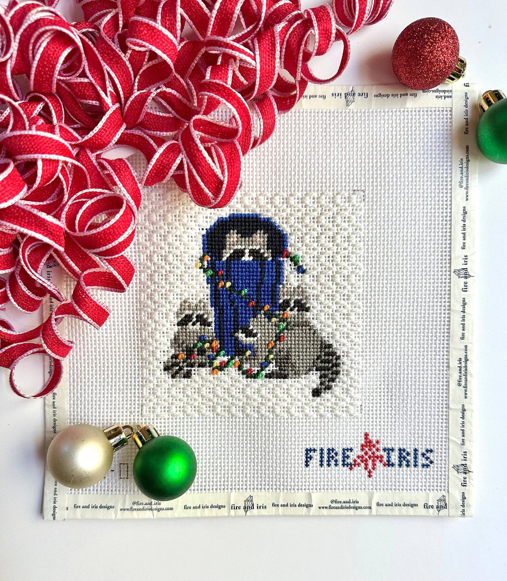 Rocky Racoon's Holiday Party - The Flying Needles