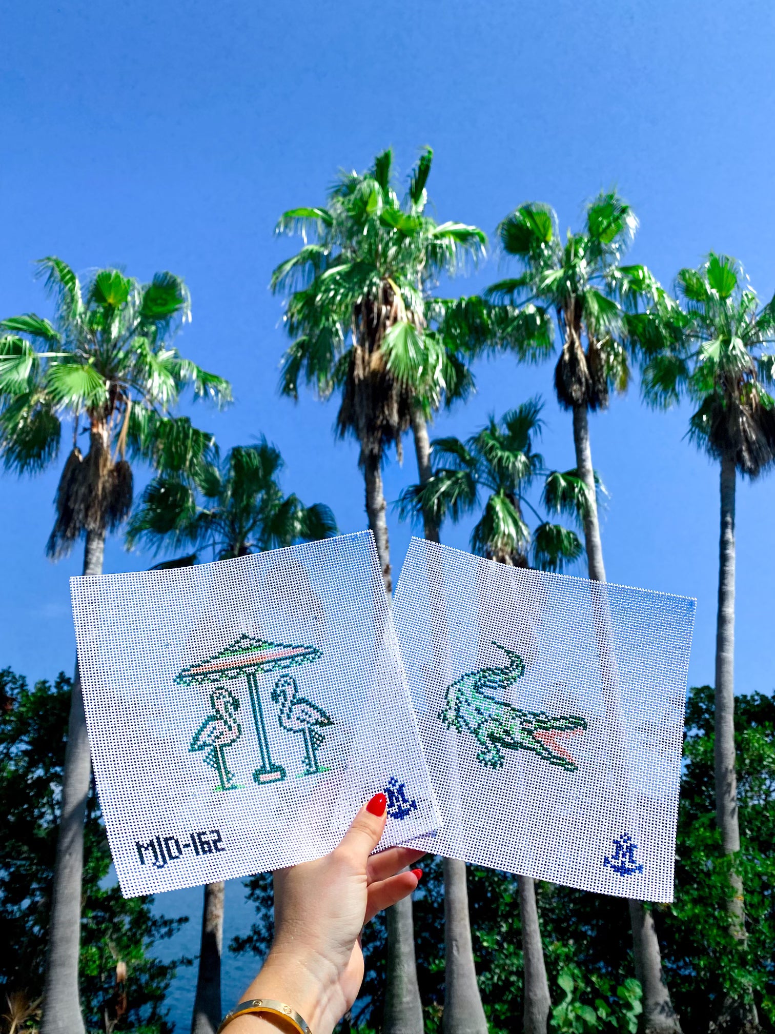 Florida Gator - The Flying Needles