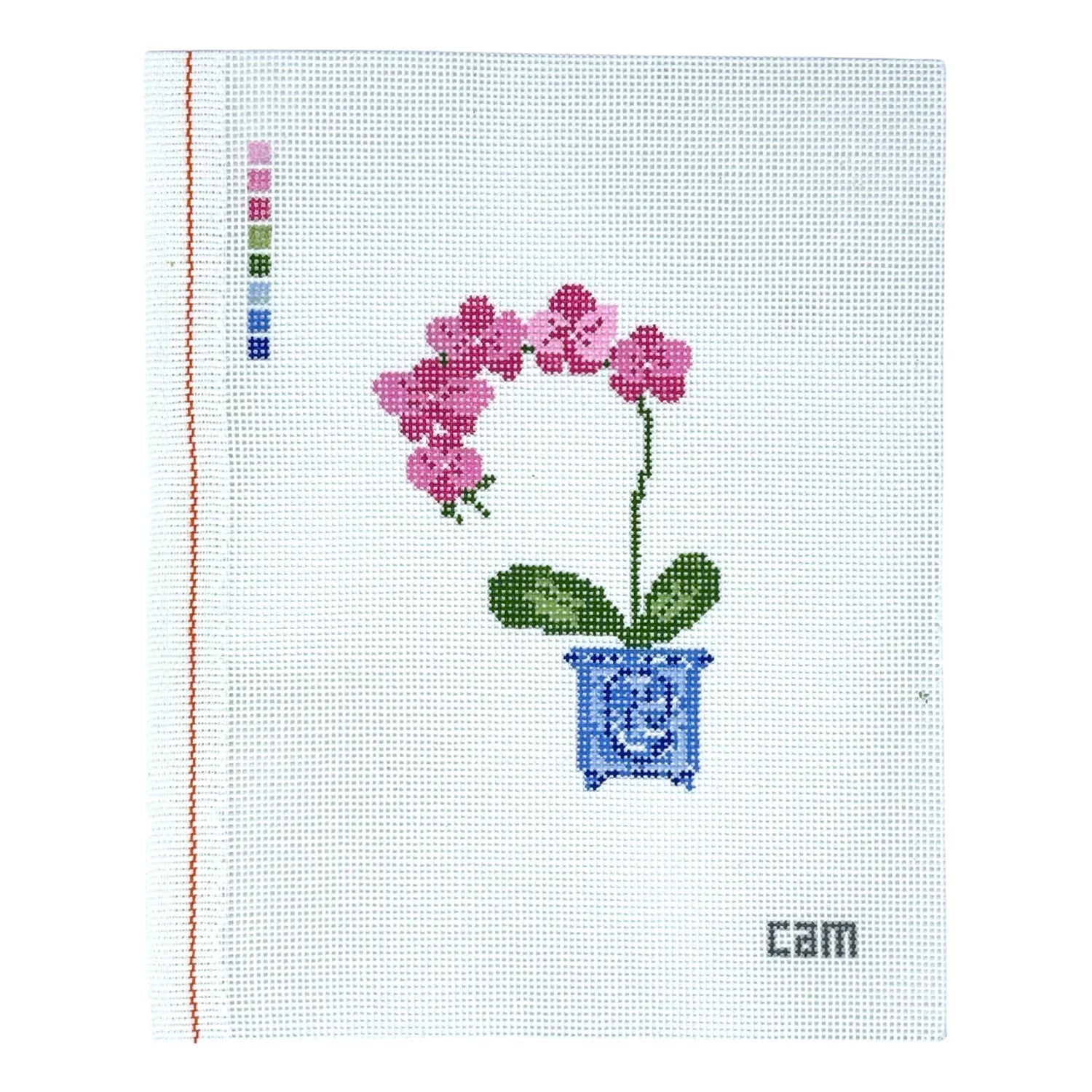 Orchid - The Flying Needles