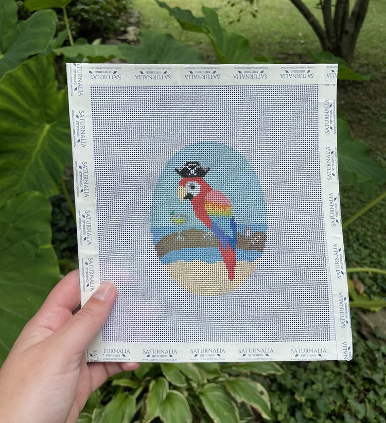 Parrot Head Tribute - The Flying Needles