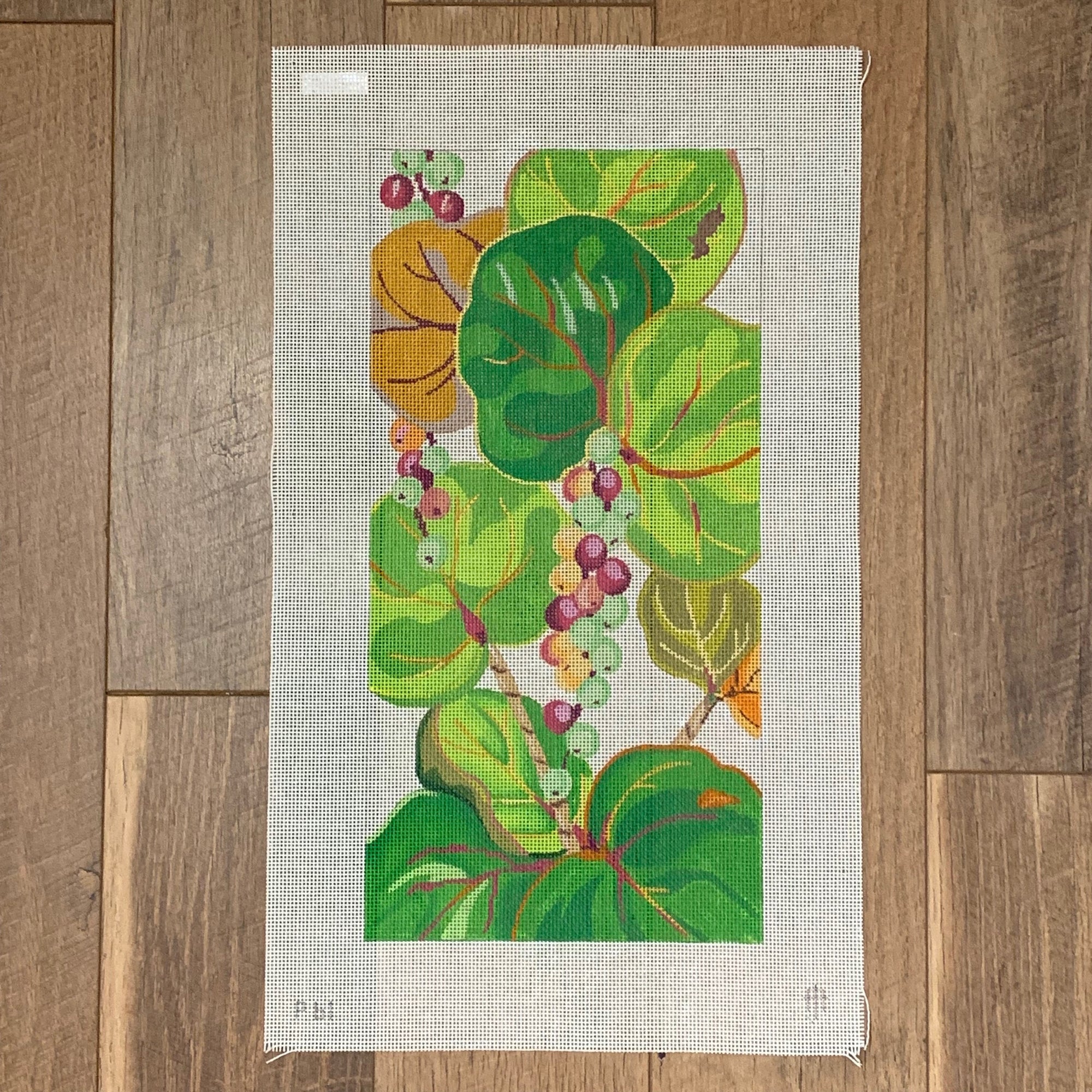 Seagrapes Clutch - The Flying Needles