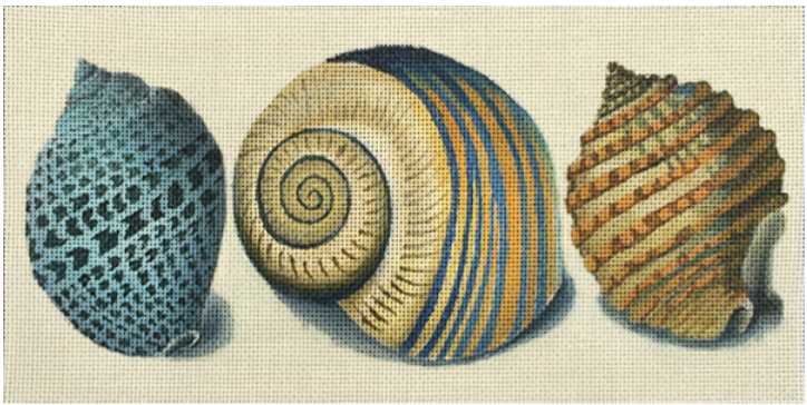 3 Shells - Blue Spots - The Flying Needles