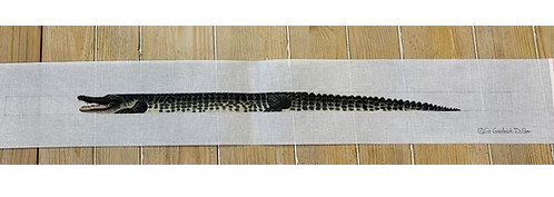 Alligator Belt - The Flying Needles