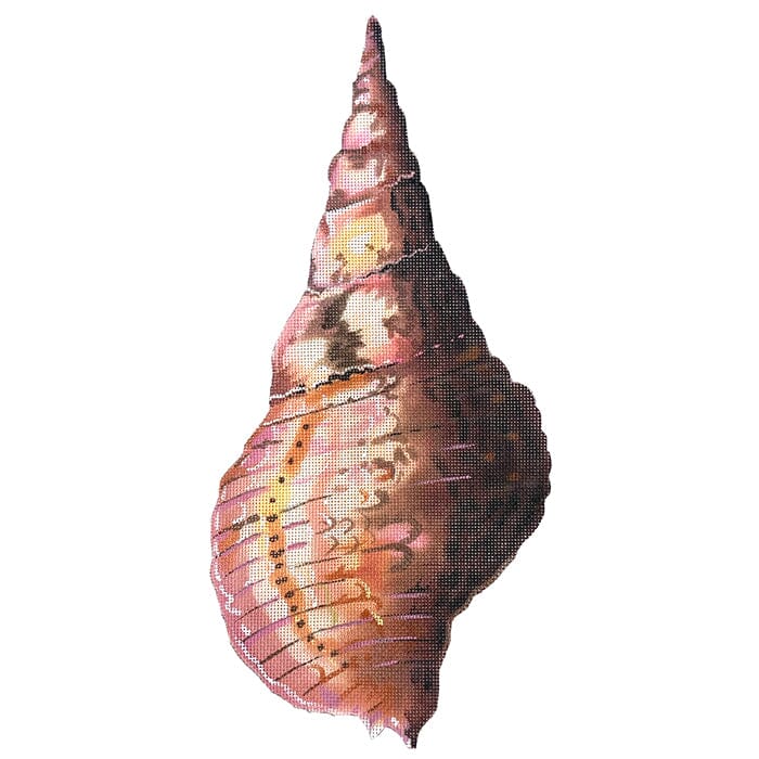 Conch Shell Back - The Flying Needles