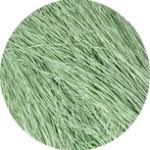 Straw Silk 0429 Gin - The Flying Needles