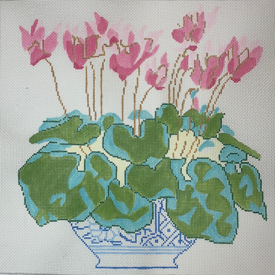Cyclamen in Blue Bowl - The Flying Needles