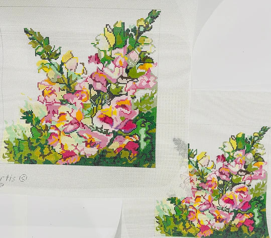 Snapdragons - The Flying Needles