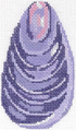 Mussel Shell Ornament - The Flying Needles