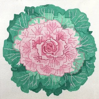 Flowering Kale - The Flying Needles