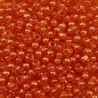 Sundance Beads Size 11 - 