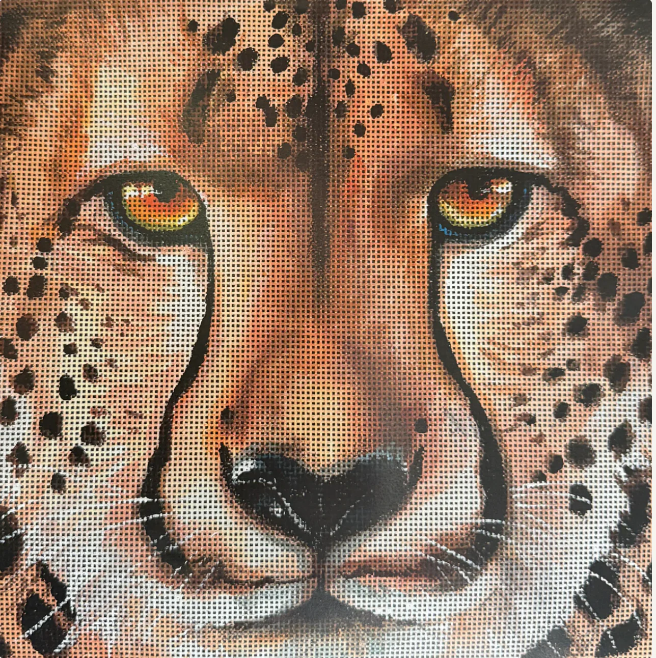 Cheetah - The Flying Needles