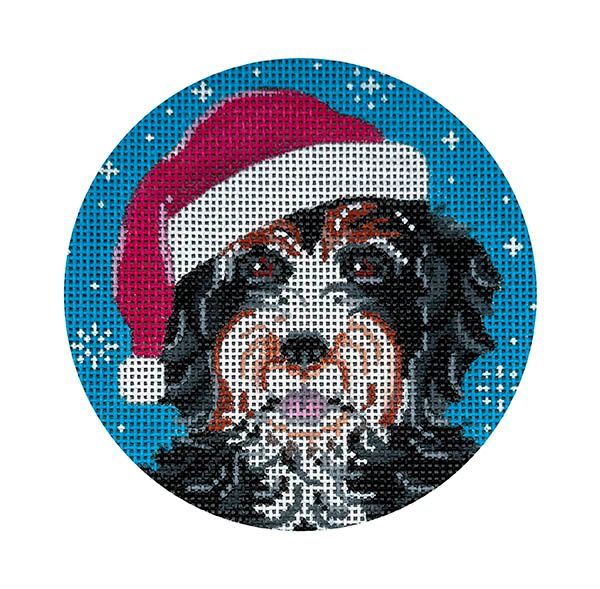 Bernadoodle Santa