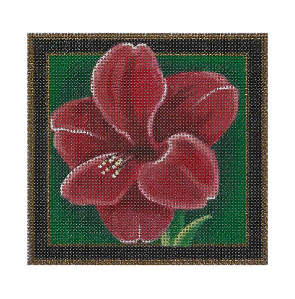 Christmas Coaster, Amaryllis