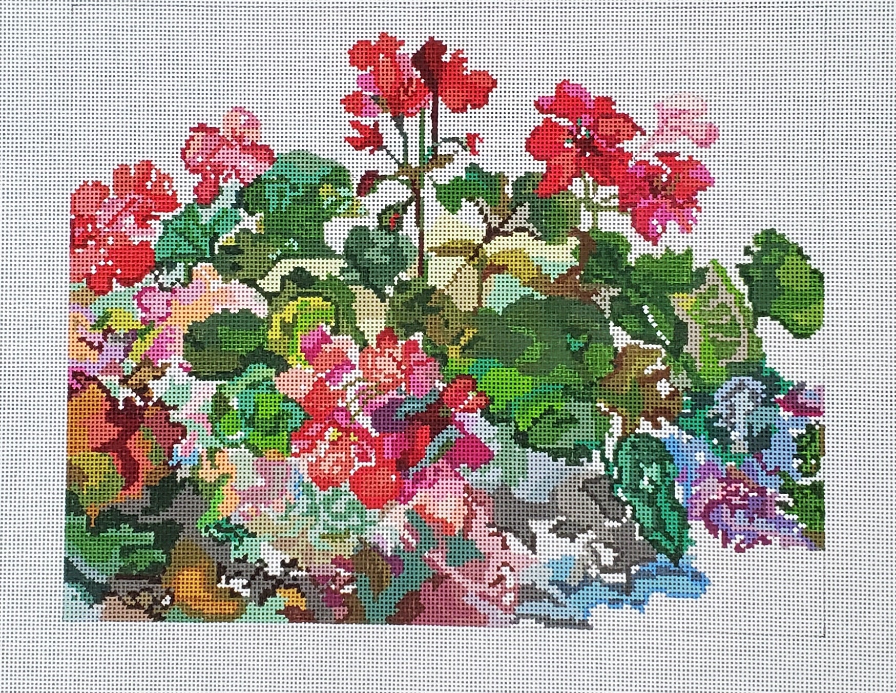 Geraniums - The Flying Needles