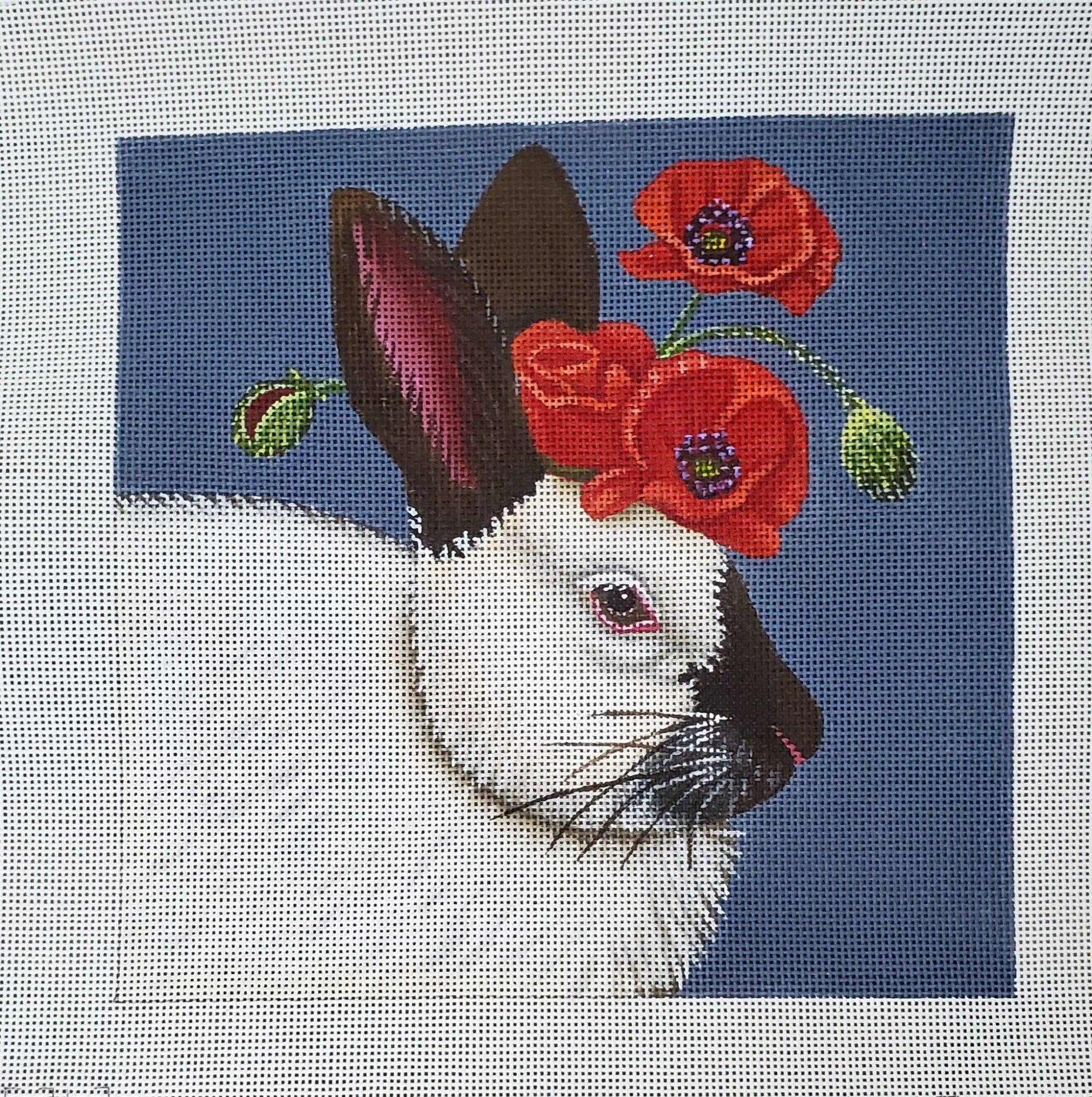 Naomi the Bunny - The Flying Needles