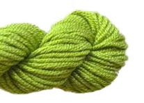 Planet Earth 6 Ply 1058 Shrub - The Flying Needles