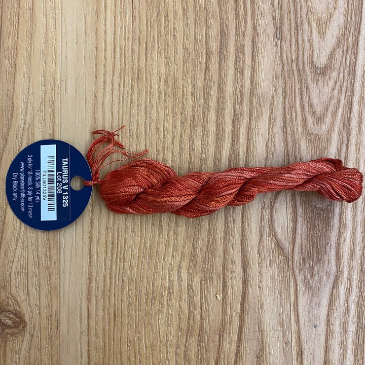 Planet Earth 6 Ply Variegated 1325V Taurus - The Flying Needles