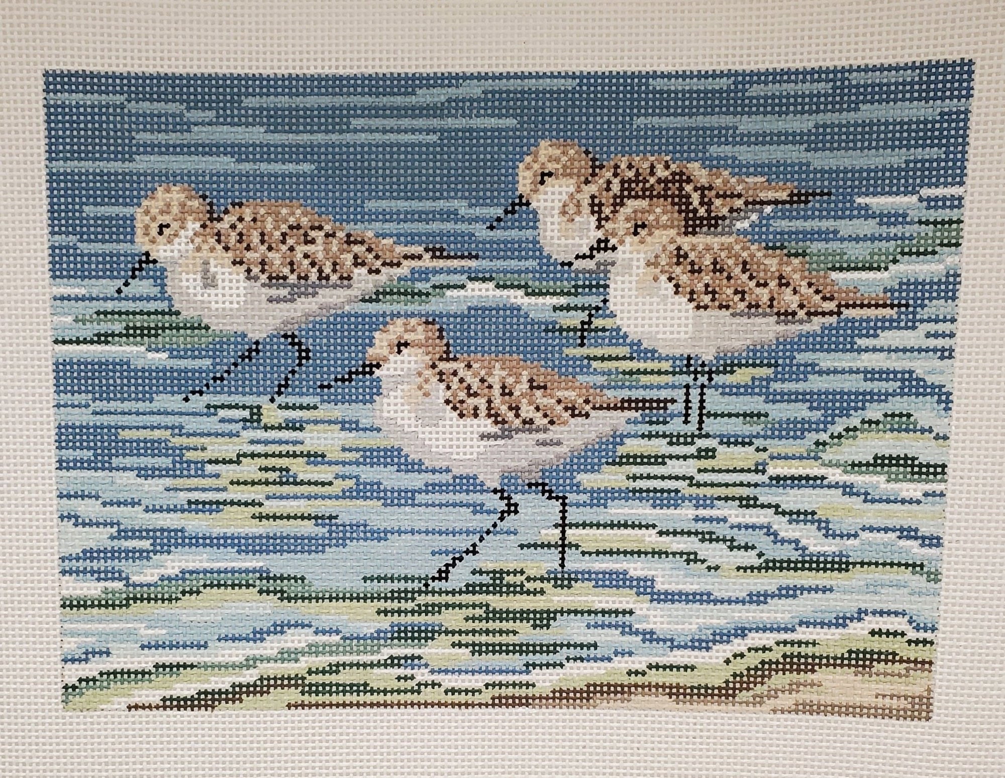 Sanderlings - The Flying Needles