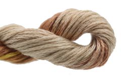 Threadworx Overdyed Floss #1037 Tiger Butter - The Flying Needles